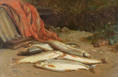 Brown Trout on a River Bank